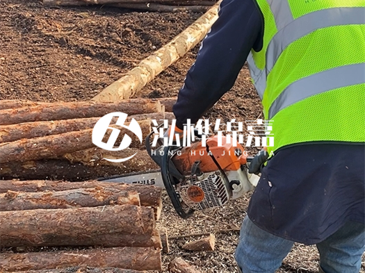 河道打木樁多少錢一根？5米直徑10松木樁打樁多少錢？