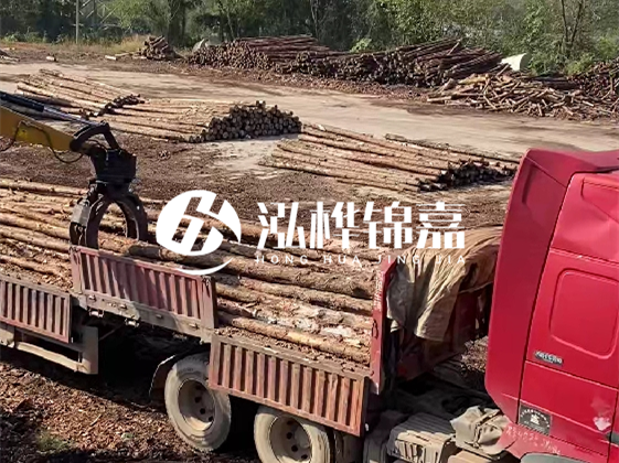 四川松木樁廠家泓樺錦嘉-哪一種打樁木最便宜？