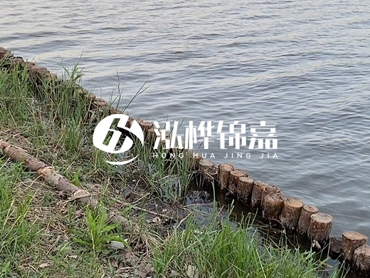 防洪松木樁施工重要性？河道打木樁的位置怎么確定？