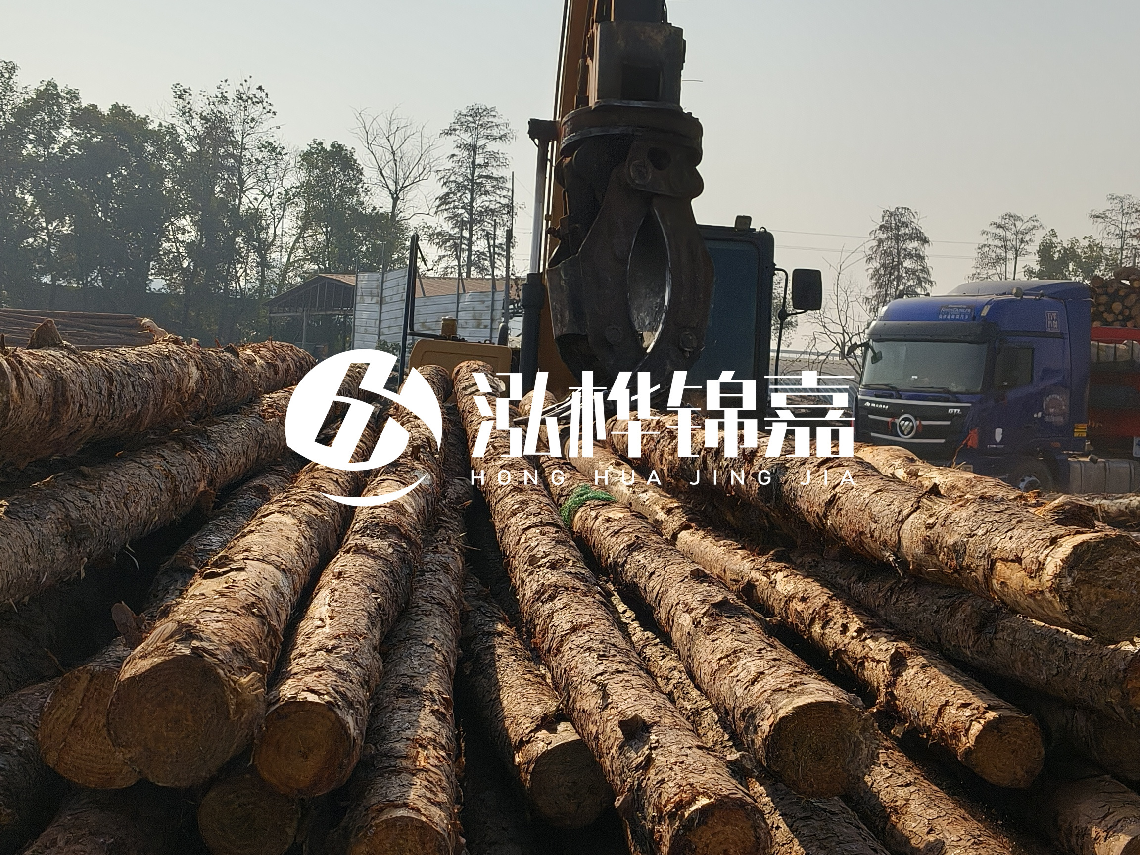 松木樁可以用來做什么？常用于哪些工程？