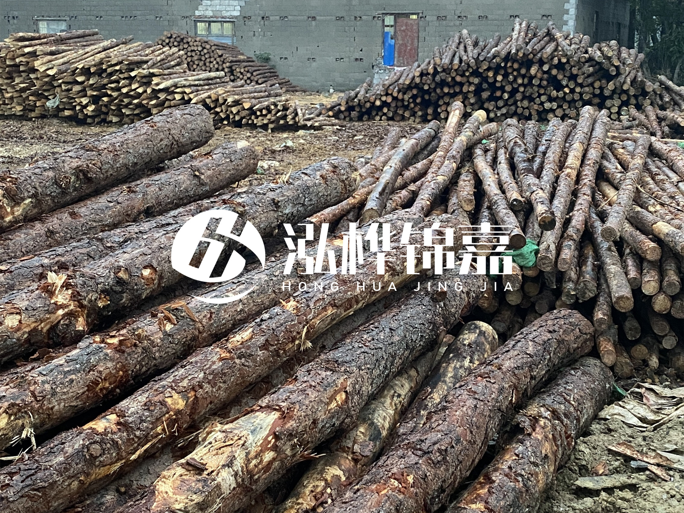 松木樁批發(fā)廠家泓樺錦嘉 - 河道松木樁如何選擇優(yōu)質(zhì)木材？