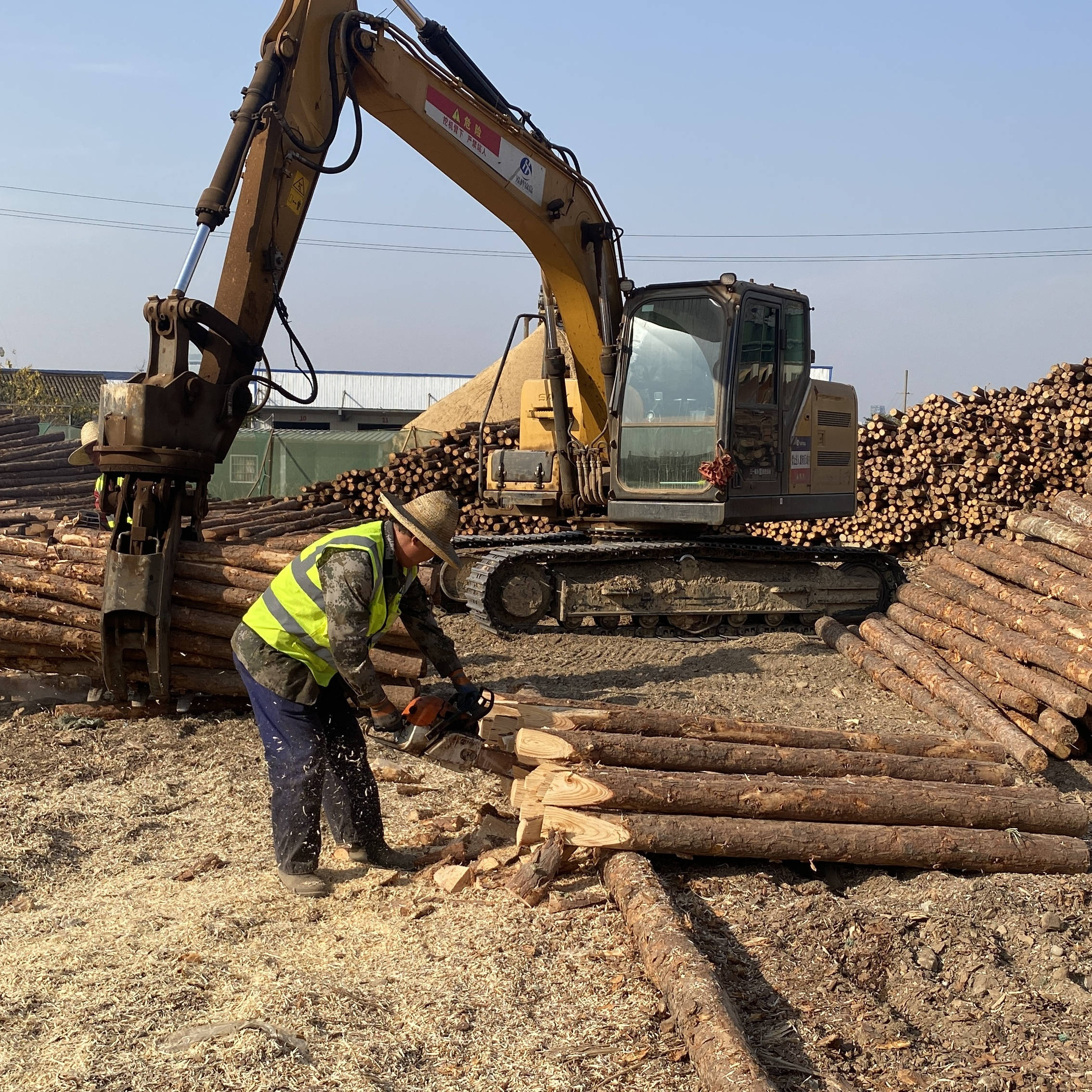 松木樁廠家泓樺錦嘉-工程打樁木選擇落葉松還是濕地松更耐腐蝕？