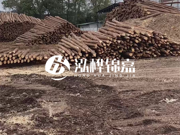 松木樁施工隊泓樺錦嘉-河道駁岸樁選擇松木還是水泥材質(zhì)更合適？