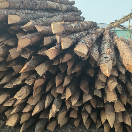 松木樁施工隊泓樺錦嘉 - 河道改造用什么規(guī)格的打樁木？