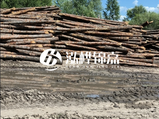 松木樁施工隊(duì)泓樺錦嘉 - 木頭打樁護(hù)岸能用多長時(shí)間？