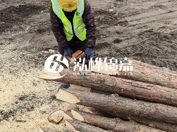 松木樁施工隊(duì)泓樺錦嘉 - 松木樁施工技術(shù)要求