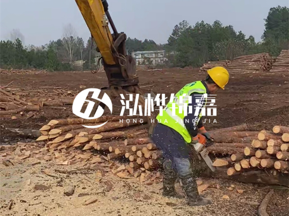 松木樁施工隊(duì)泓樺錦嘉 - 松木打樁在水里管幾年？