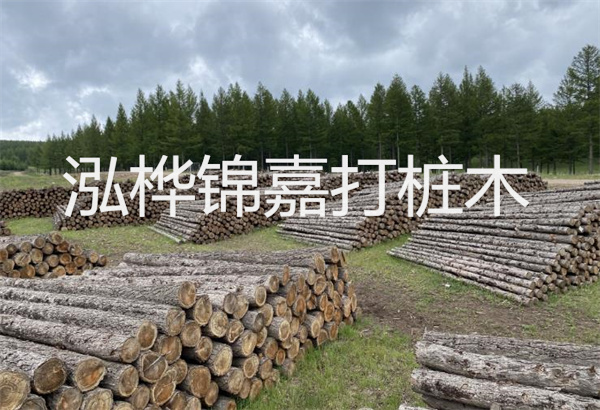 預(yù)制松木樁施工工藝：優(yōu)質(zhì)材料，高效快速，堅(jiān)固耐用