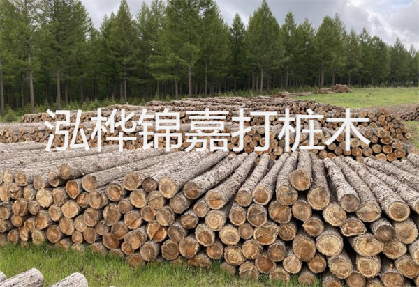 松木樁能施工嗎？探究視頻揭秘真相！