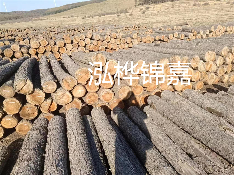 鹽城松木樁河道圍堰施工，保護(hù)生態(tài)環(huán)境，打造美麗城市