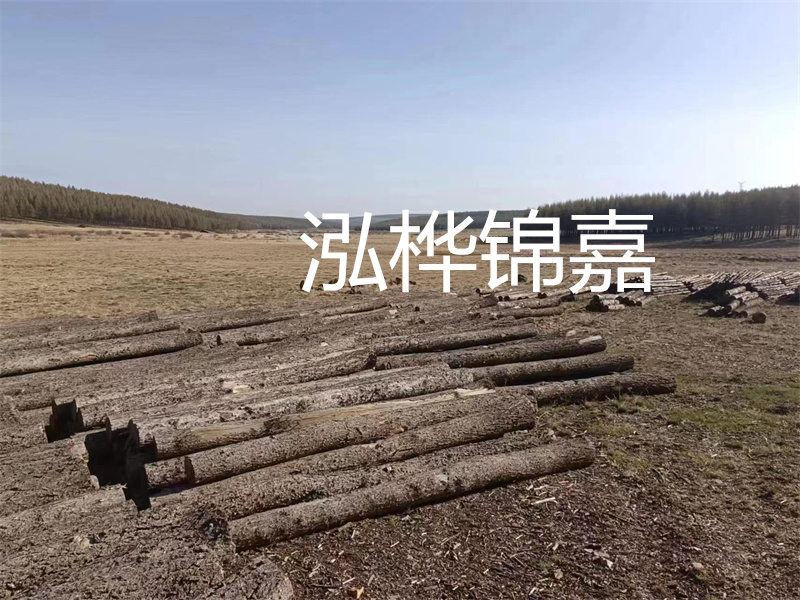 鄂州松木樁哪里好？推薦泓樺錦嘉松木樁業(yè)！